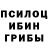 Галлюциногенные грибы Cubensis Haiqat Imonov
