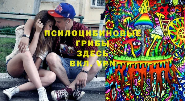 сатива Абаза