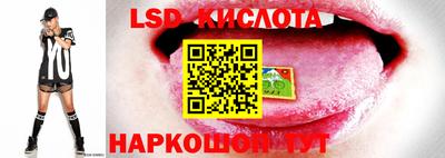 apvp Гатчина