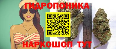 индика Гусь-Хрустальный