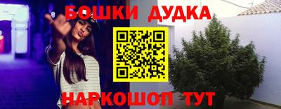 индика Гусь-Хрустальный