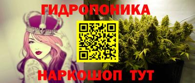 индика Гусь-Хрустальный