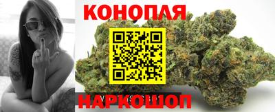 индика Гусь-Хрустальный