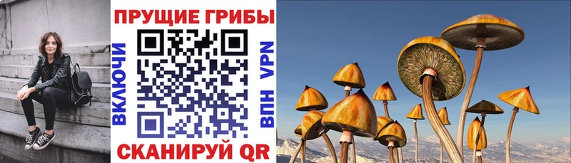 Галлюциногенные грибы прущие грибы  Железноводск 
