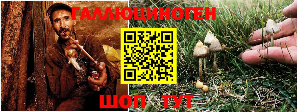Железноводск  Псилоцибиновые грибы Psilocybine cubensis  Галлюциногенные грибы Psilocybe  магазин продажи наркотиков  Вход с VPN 